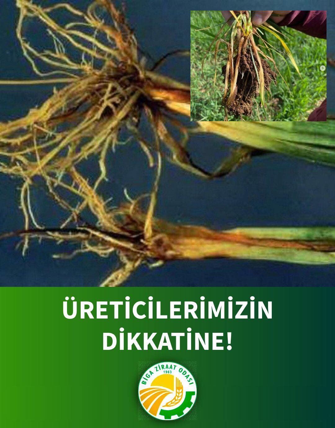 I M G 20260304 W A0158