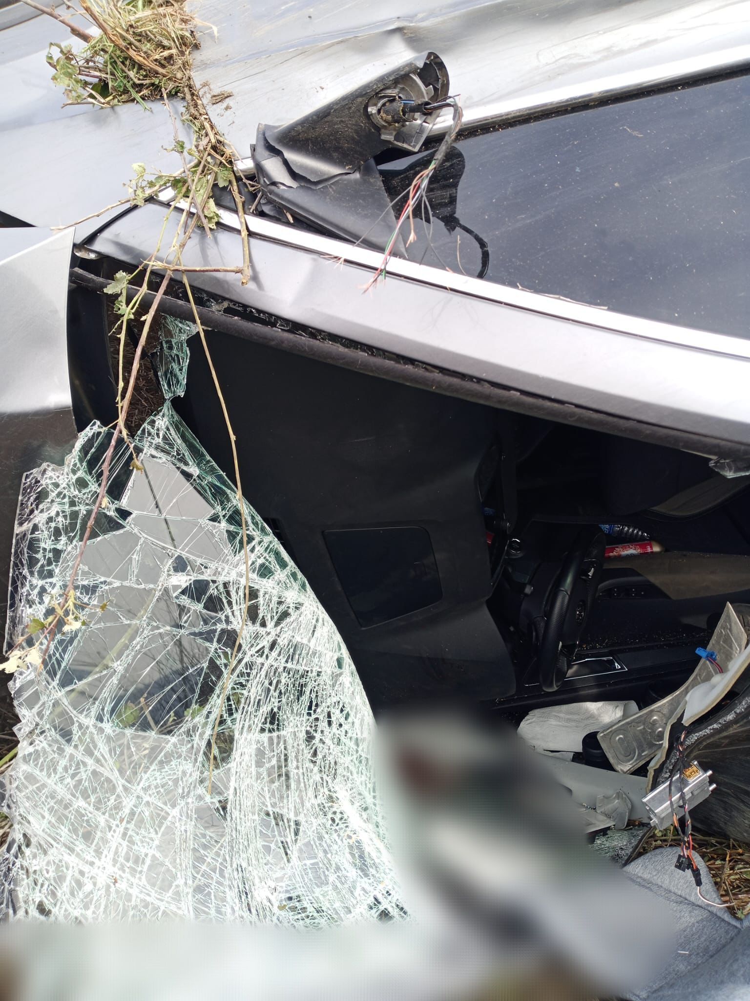 I M G 20260305 163056