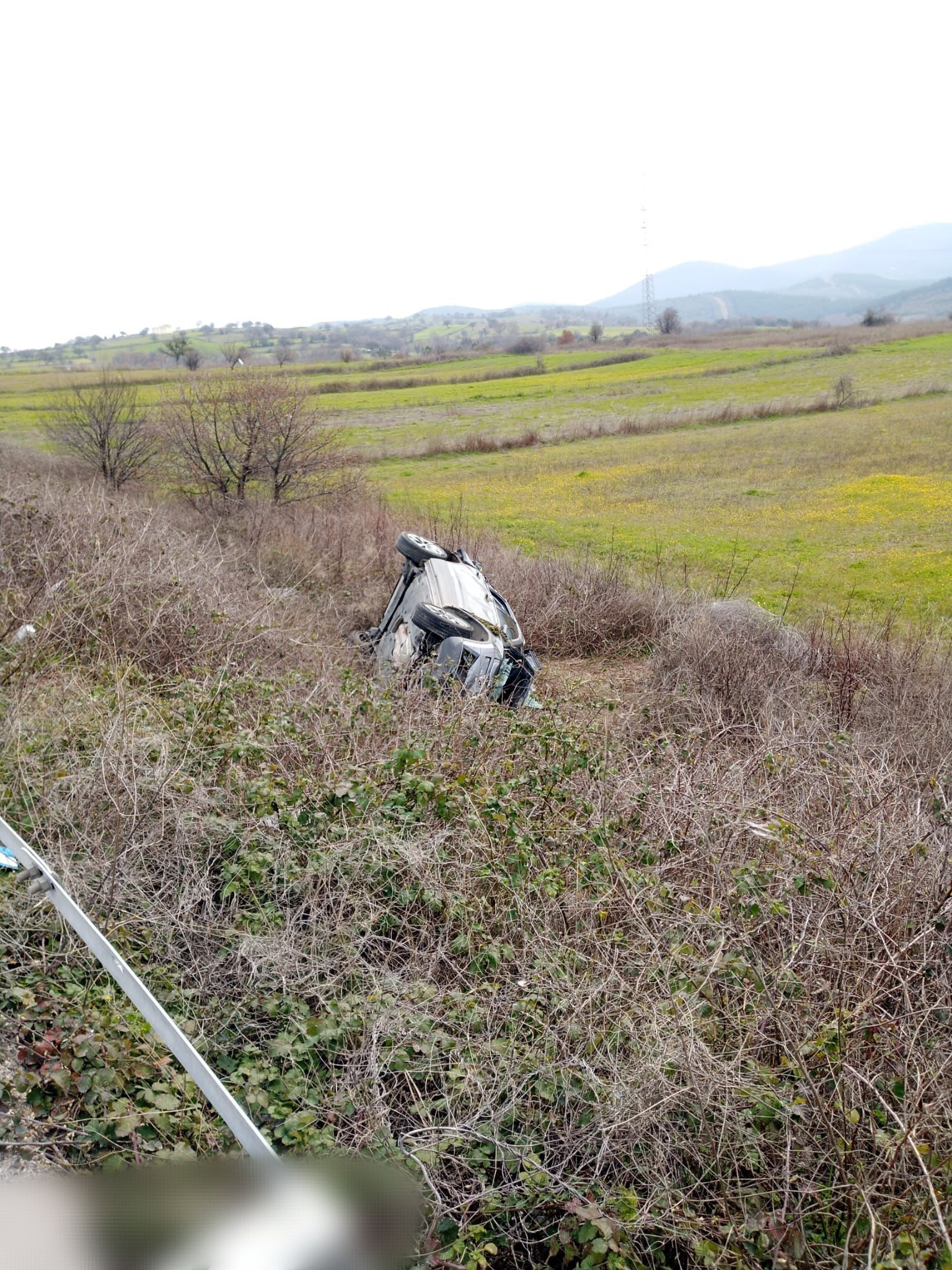 I M G 20260305 163111