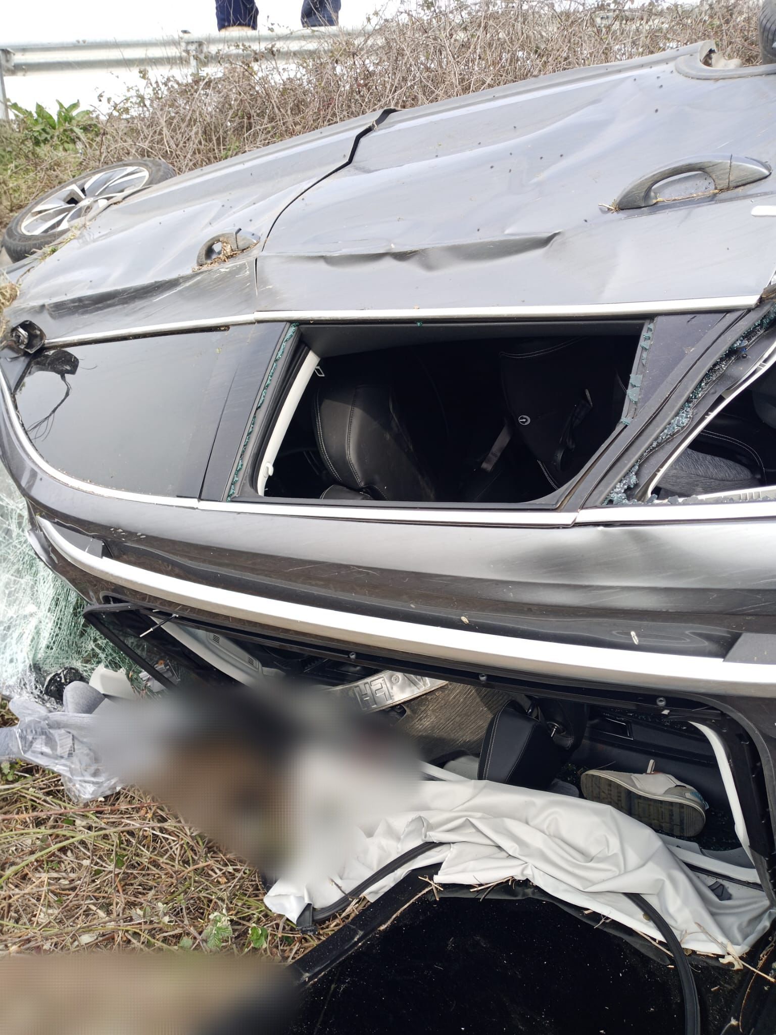 I M G 20260305 163130