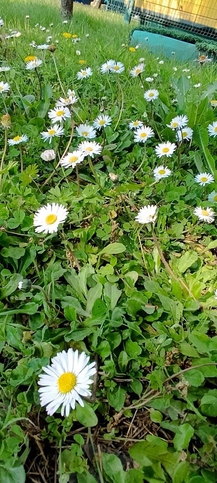 I M G 20260306 W A0081