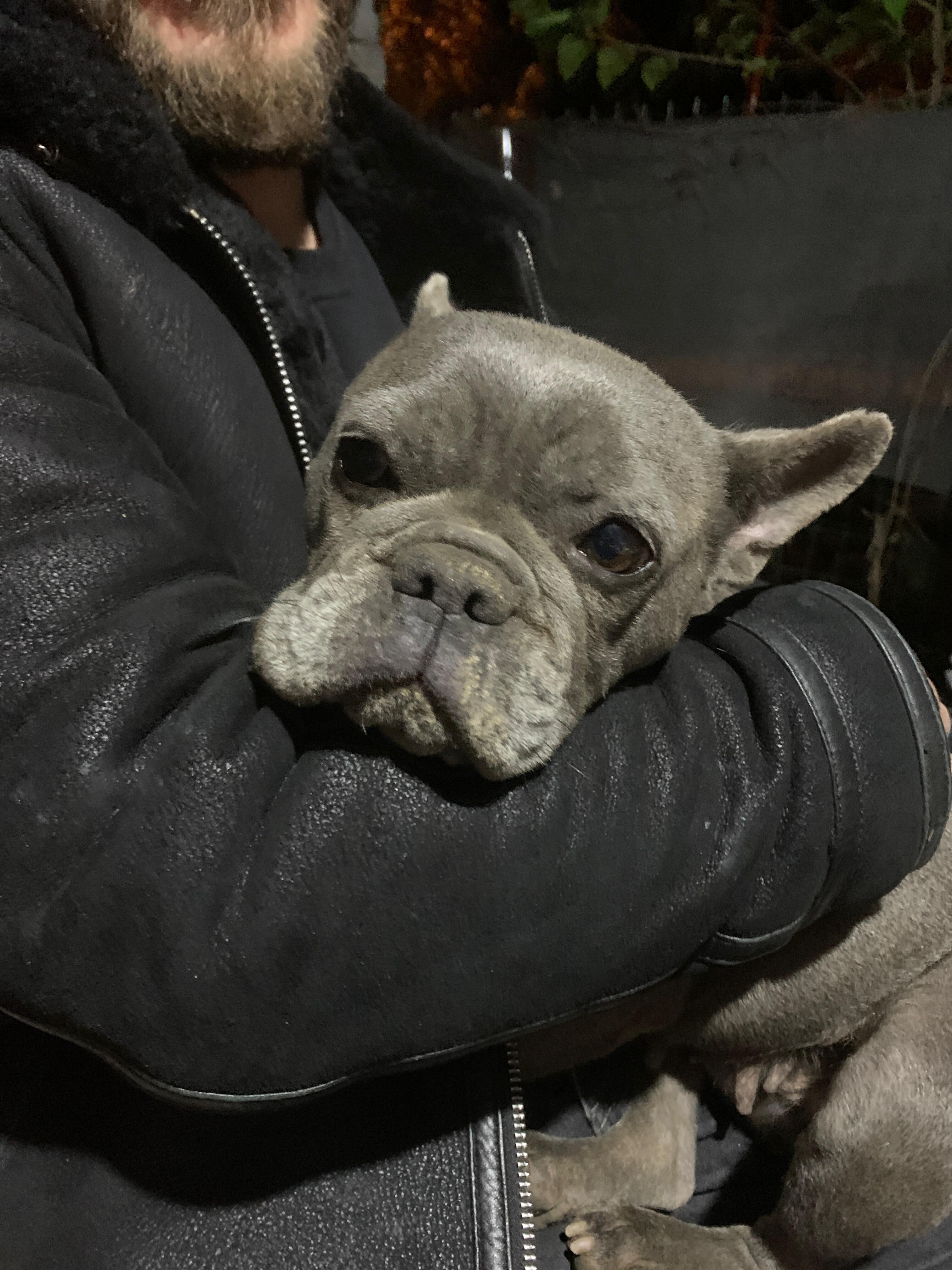 I M G 20260307 W A0093