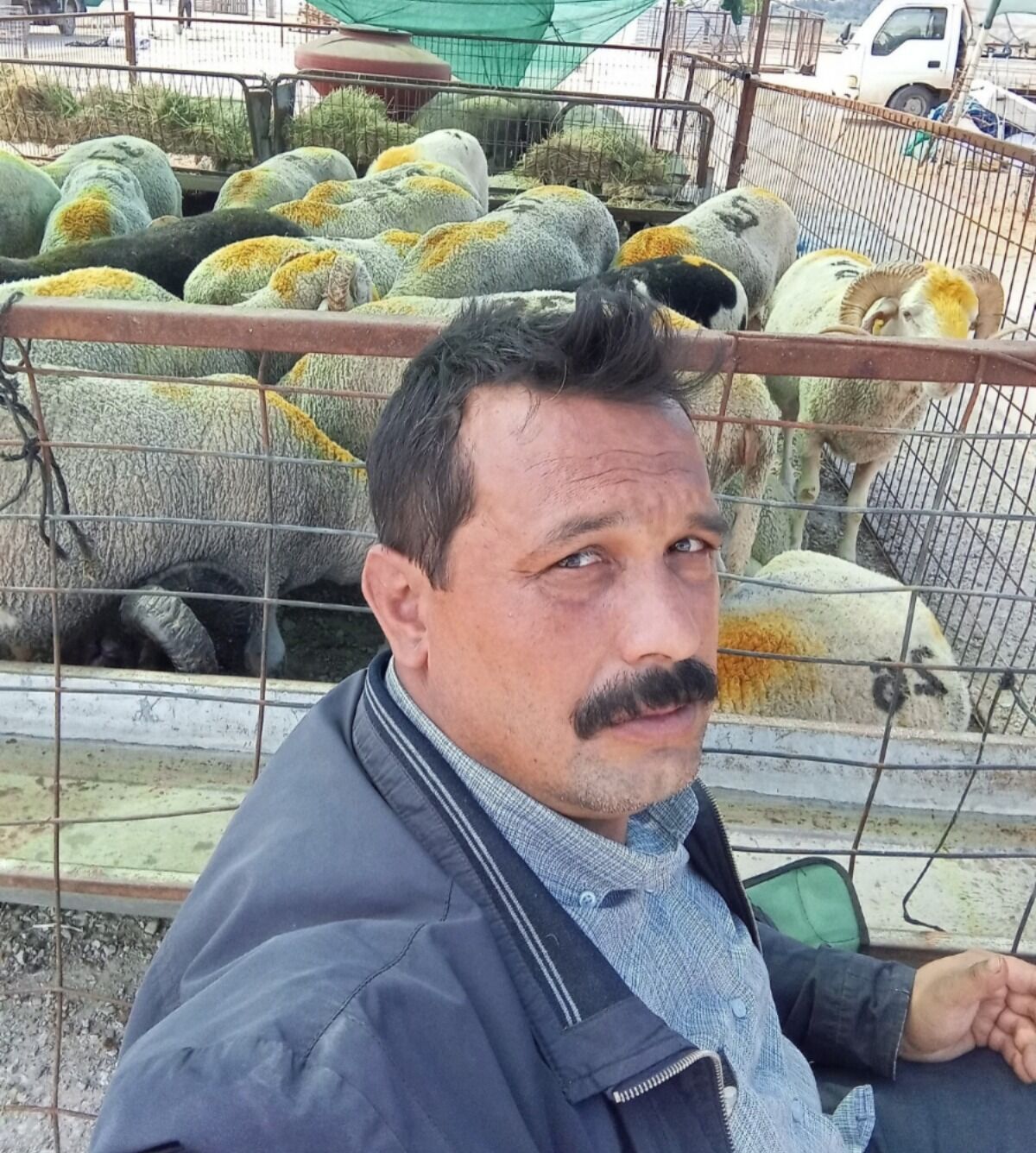 I M G 20260317 W A0024(1)