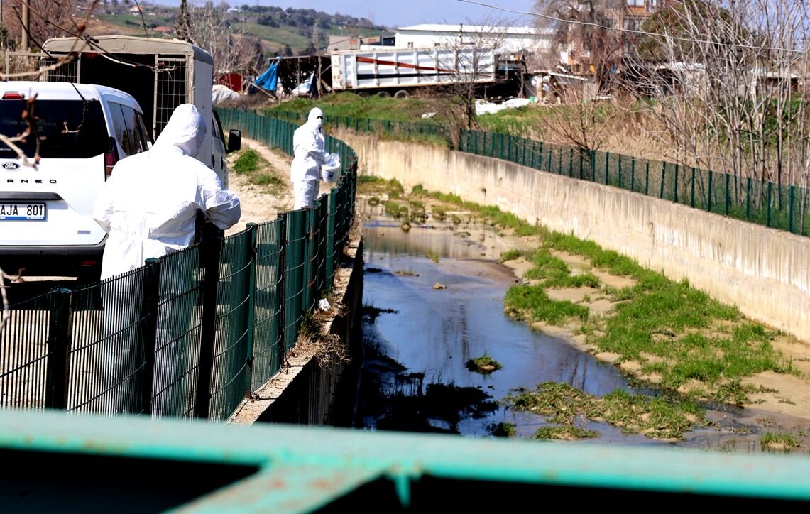 I M G 20260317 W A0048