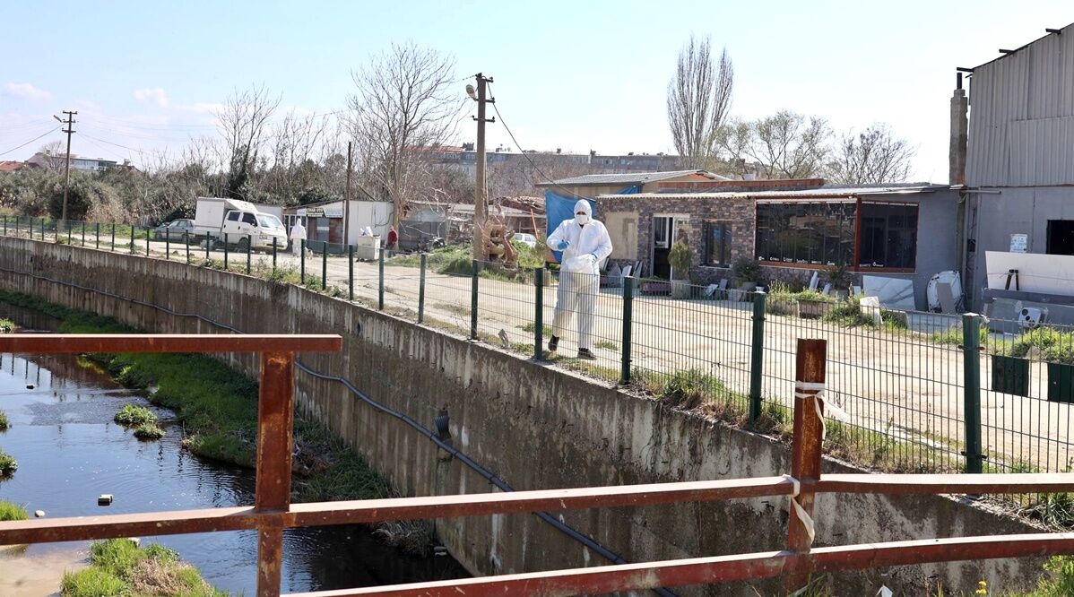 I M G 20260317 W A0049