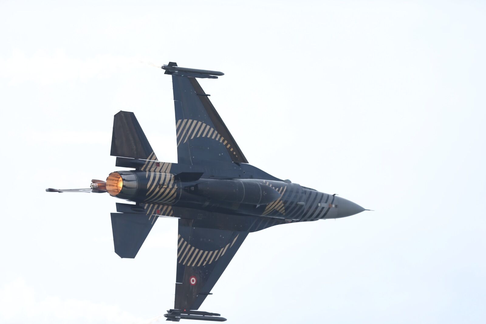 I M G 20260317 W A0070