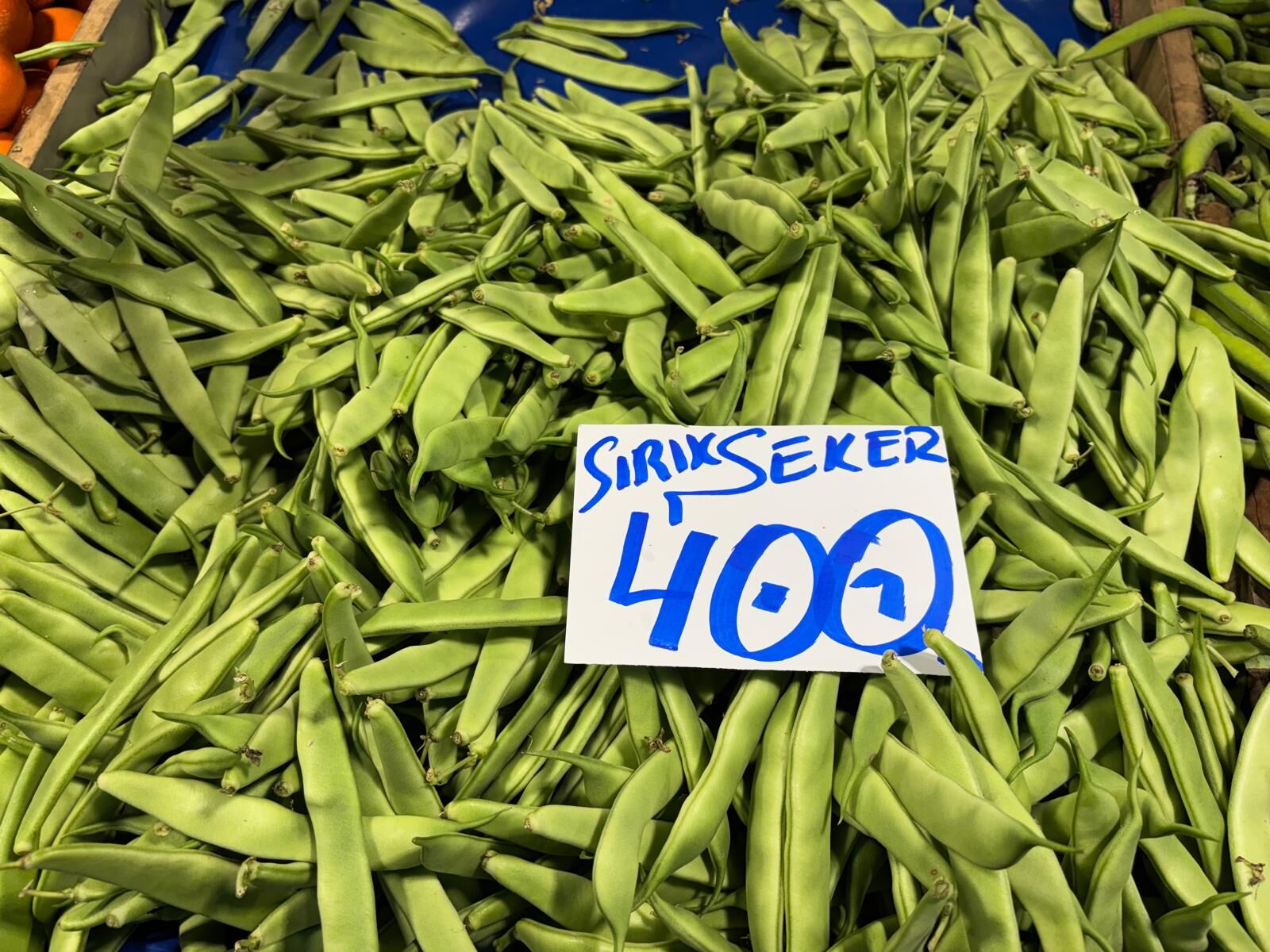 I M G 20260318 W A0077