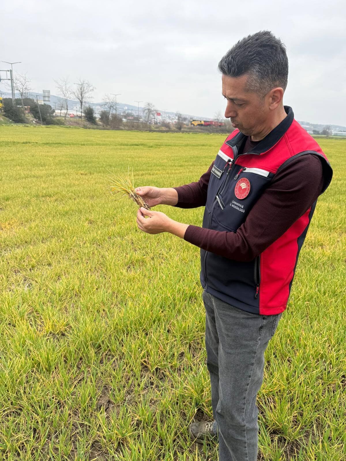 I M G 20260319 W A0006