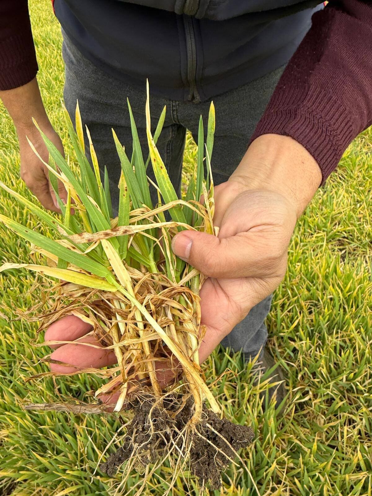 I M G 20260319 W A0007