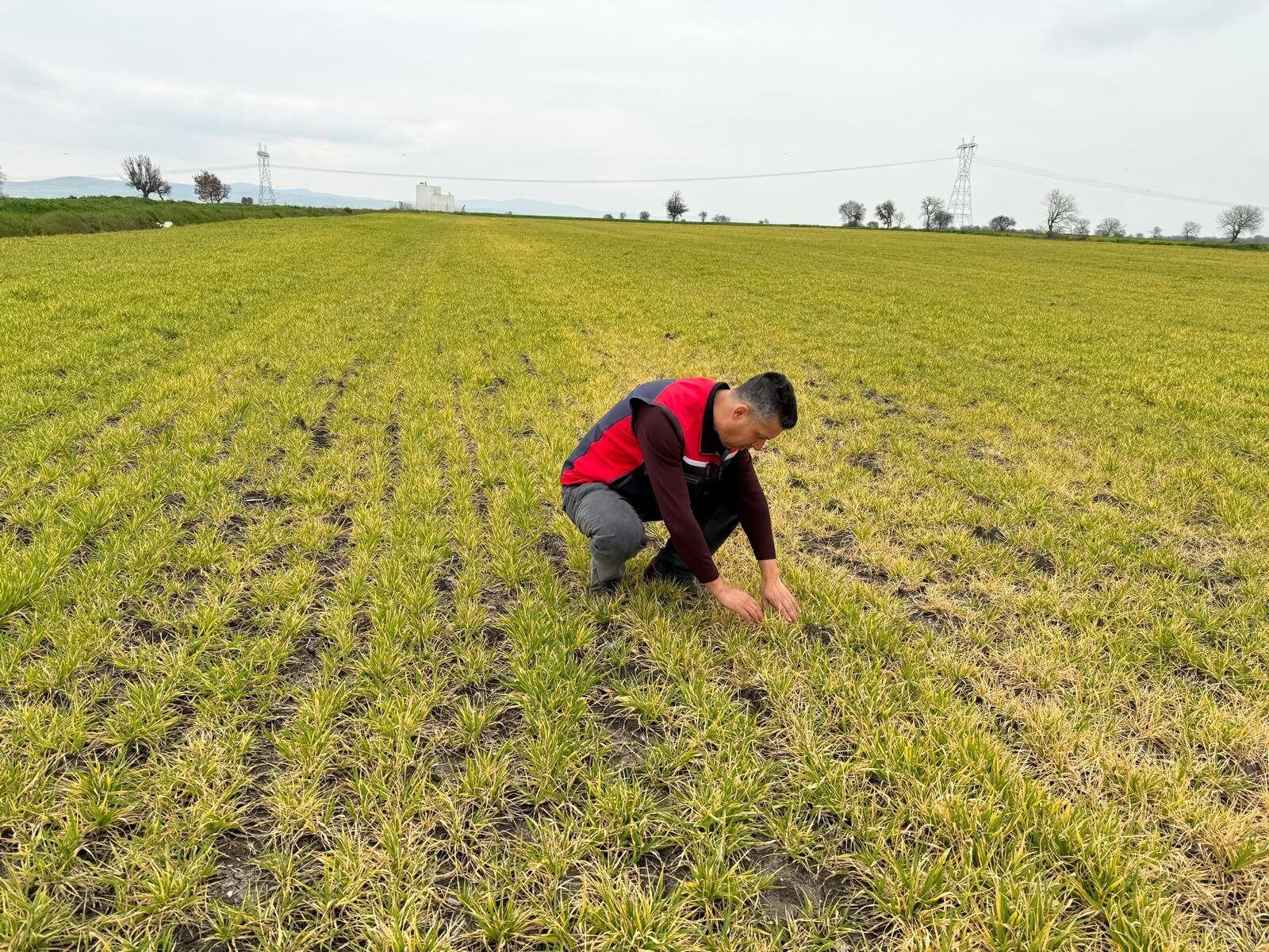 I M G 20260319 W A0008