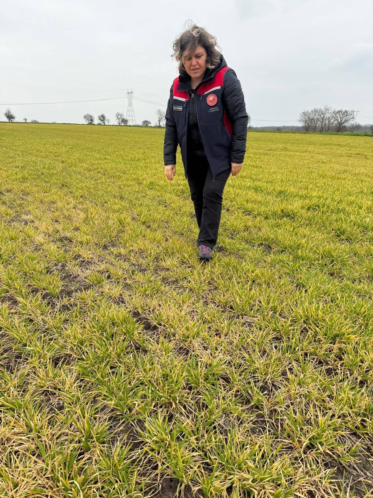 I M G 20260319 W A0009