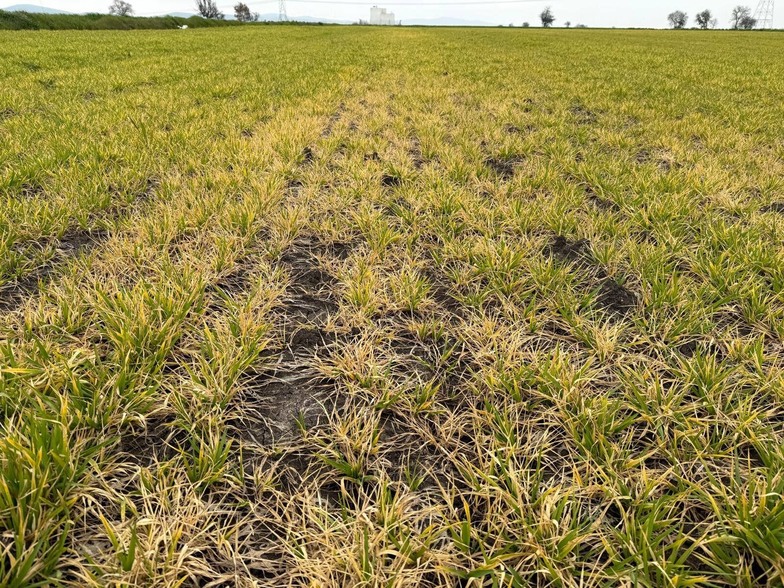 I M G 20260319 W A0010