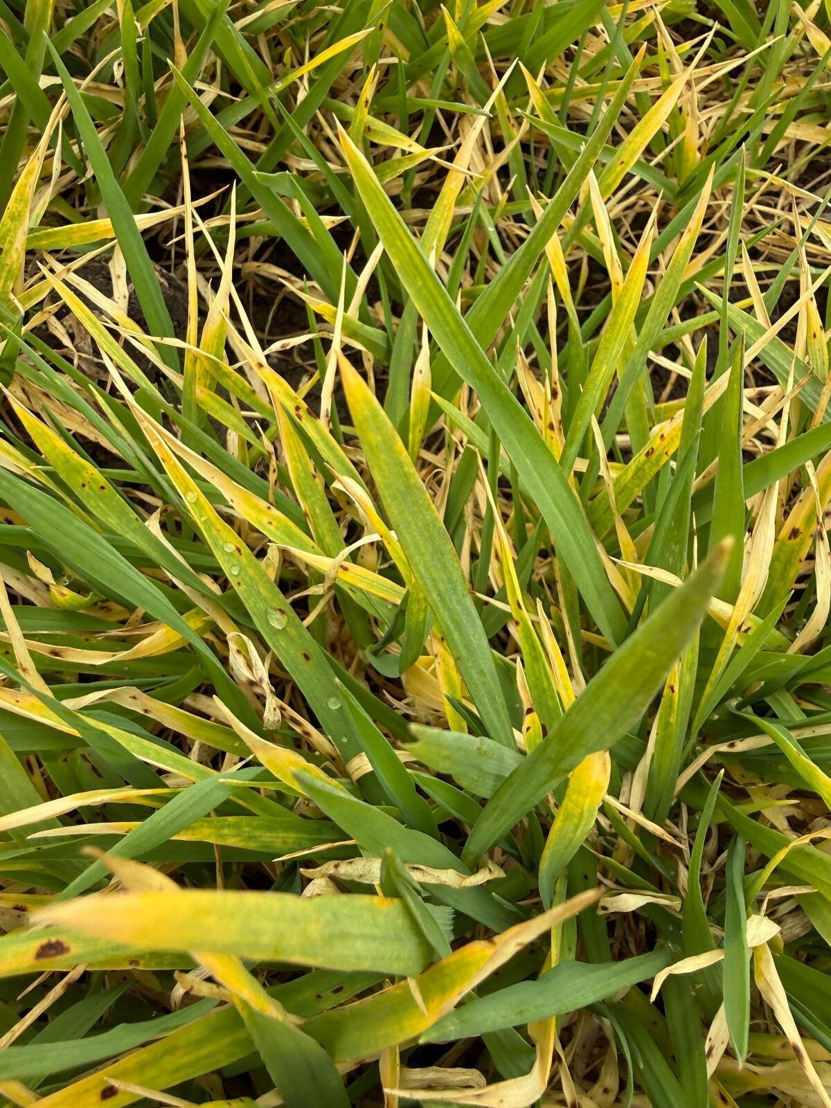 I M G 20260319 W A0011