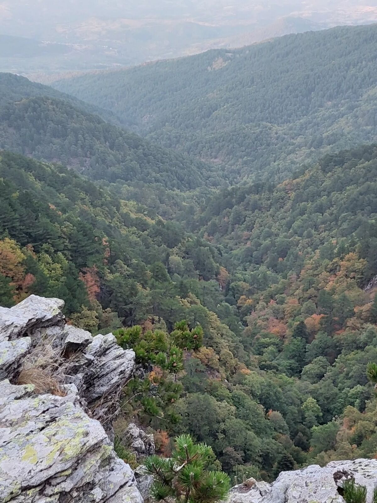 I M G 20260323 W A0020