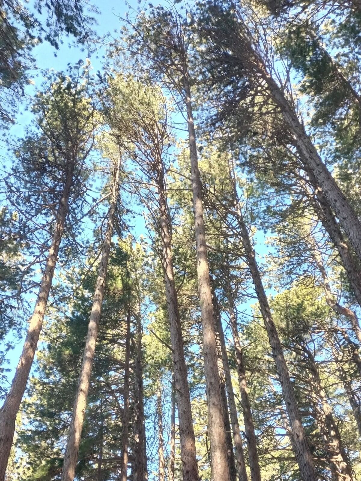 I M G 20260323 W A0021