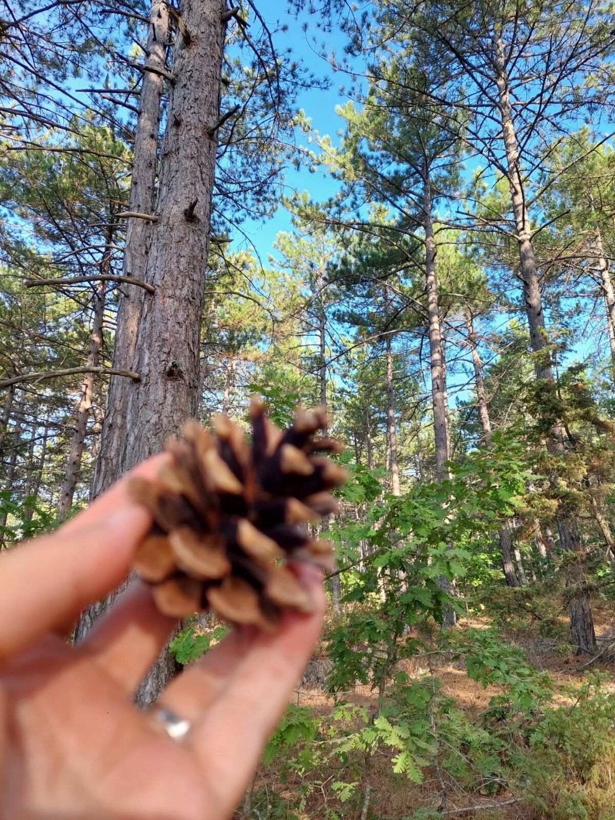 I M G 20260323 W A0022