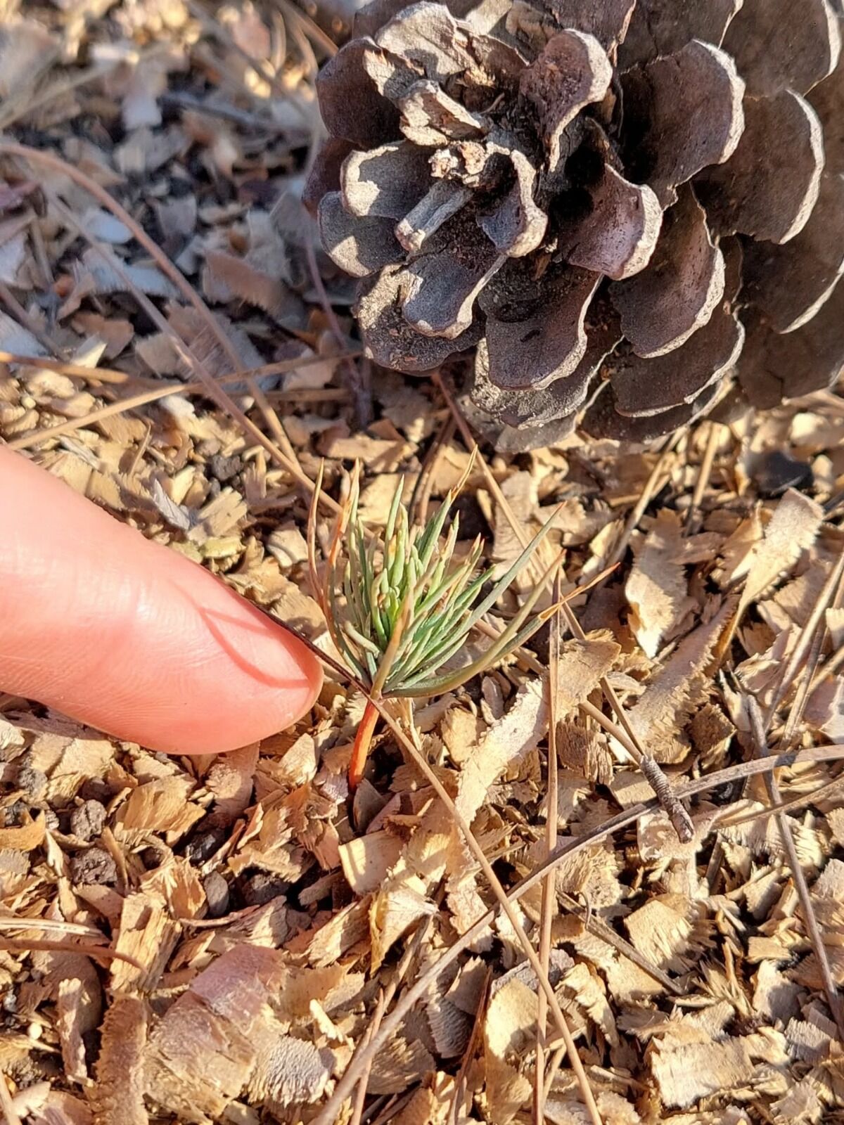 I M G 20260323 W A0023