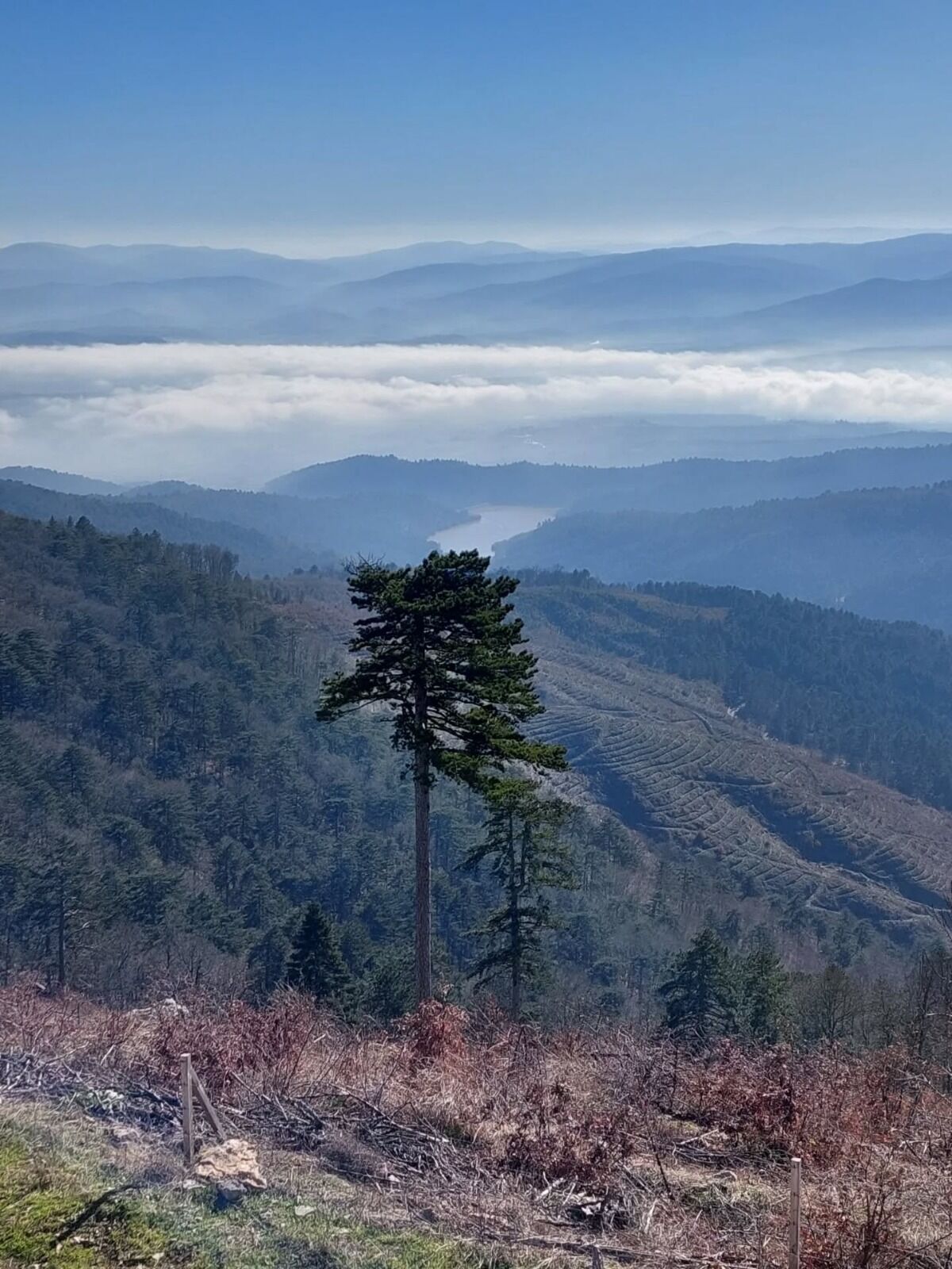 I M G 20260323 W A0025