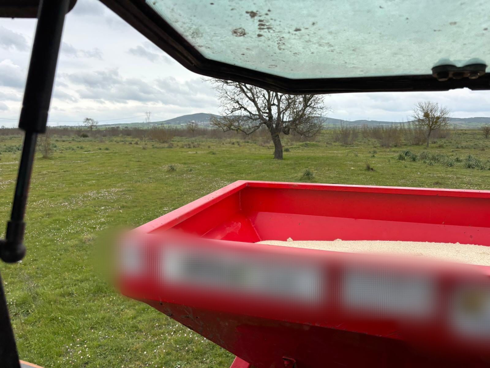 I M G 20260324 153508