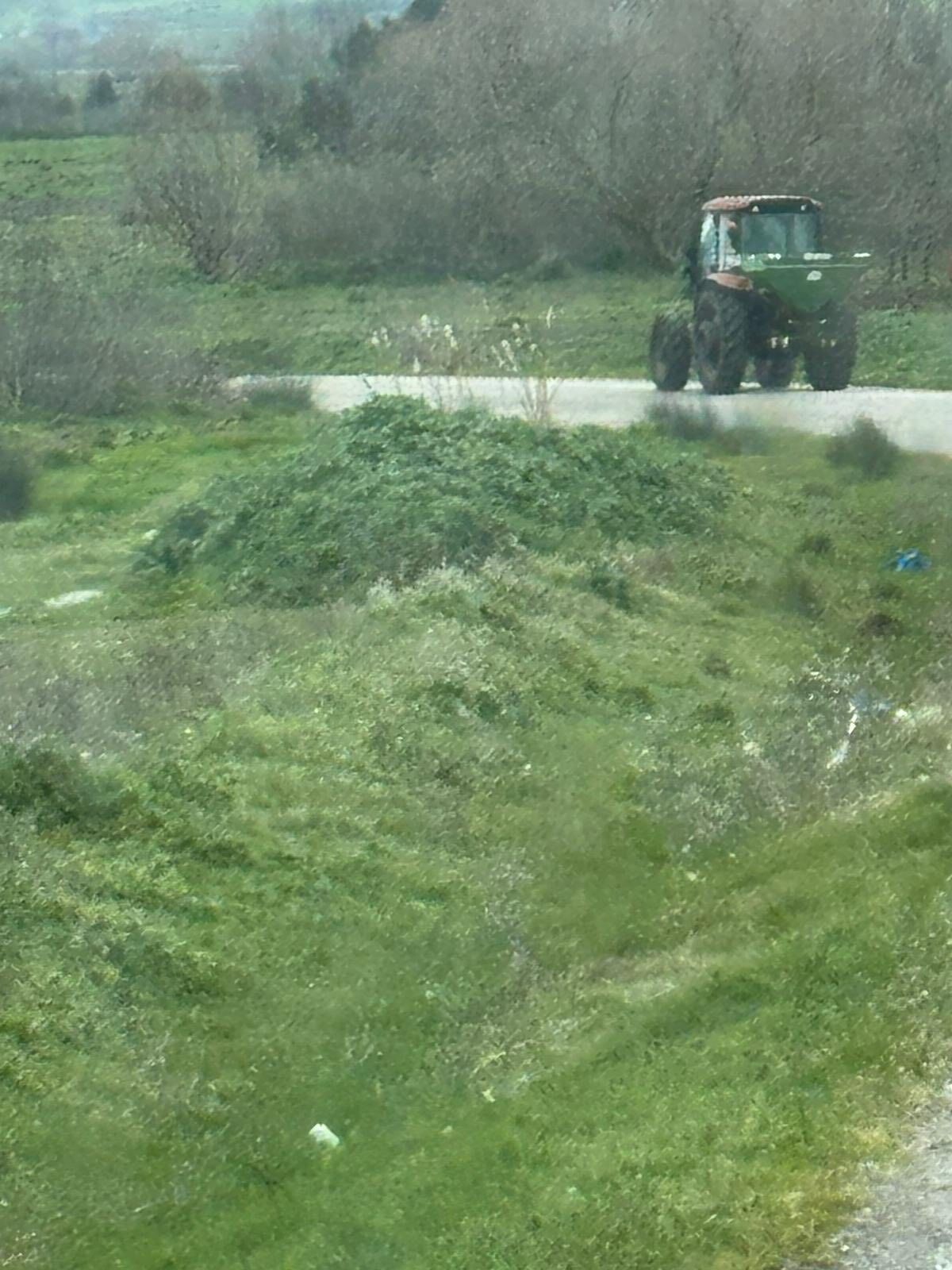 I M G 20260324 W A0034