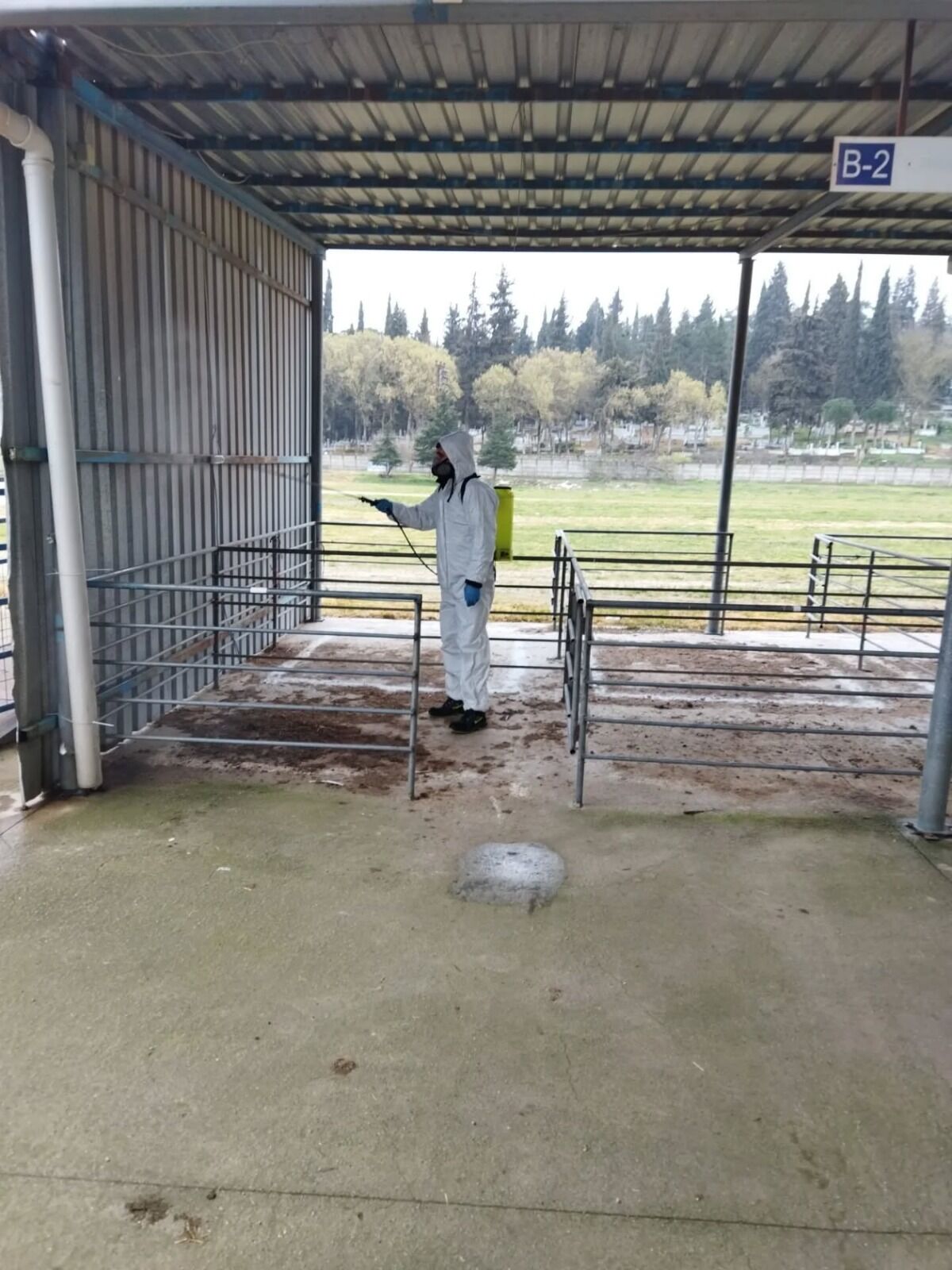 I M G 20260324 W A0044