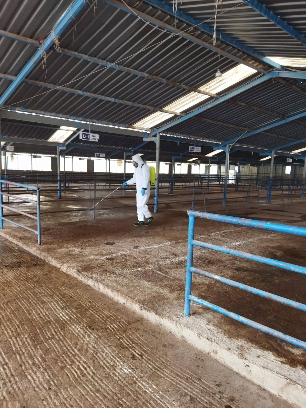 I M G 20260324 W A0045