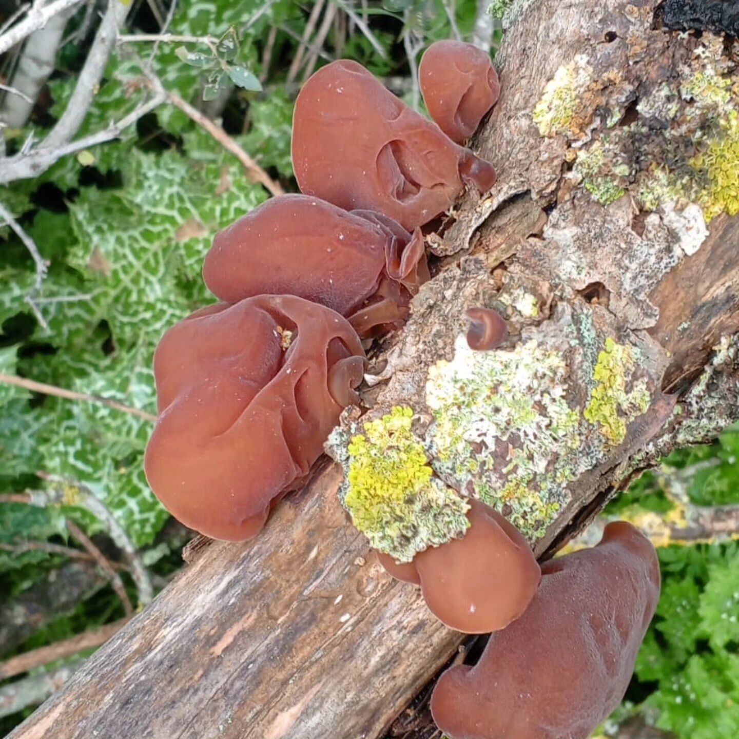 I M G 20260324 W A0073