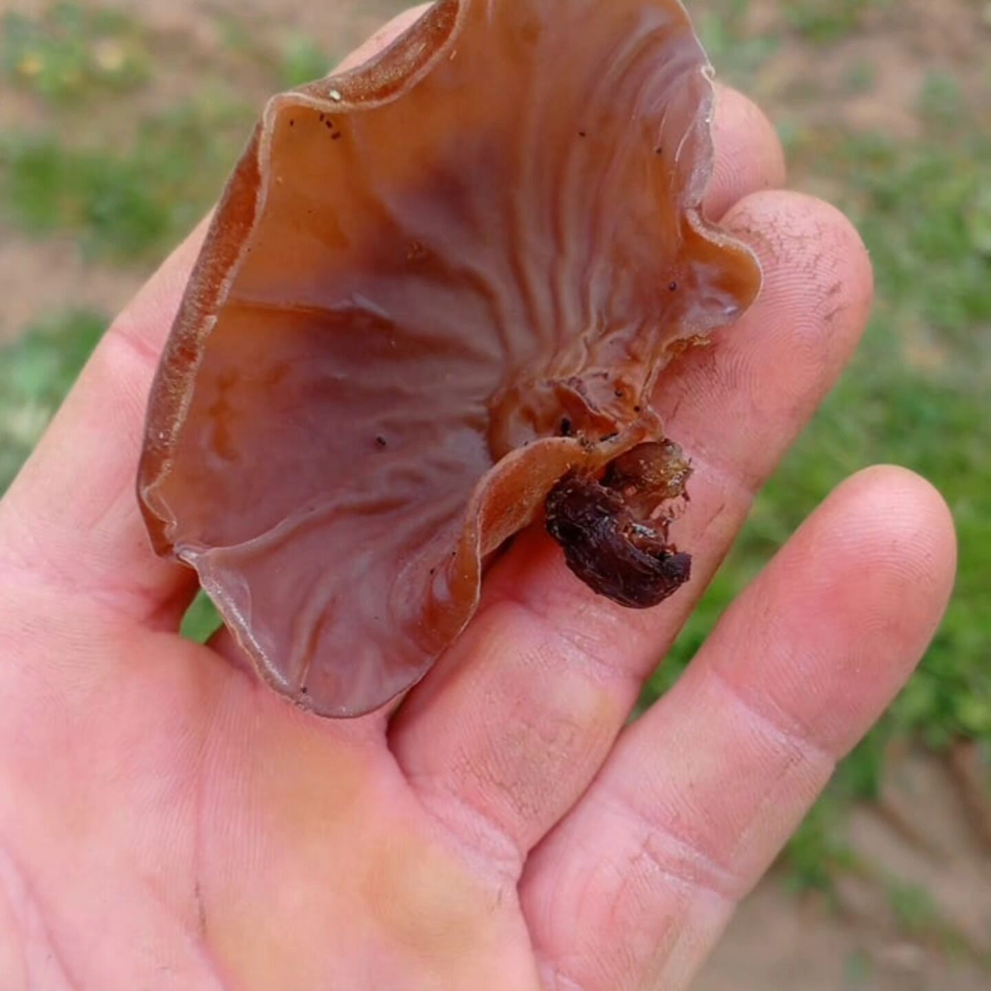 I M G 20260324 W A0074