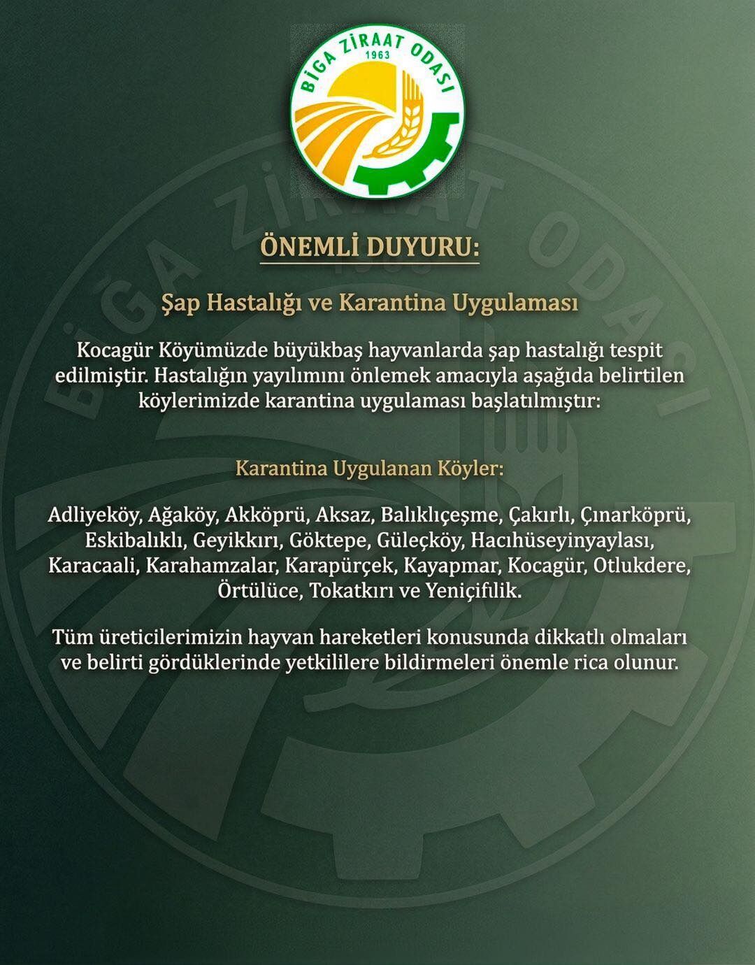 I M G 20260325 W A0011