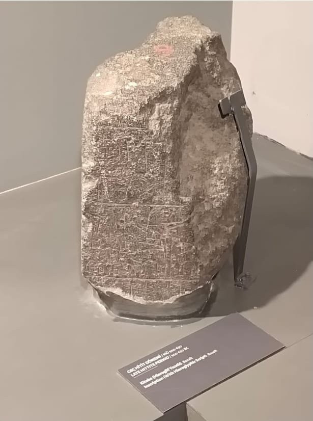 I M G 20260325 W A0088