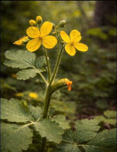 I M G 20260327 W A0075