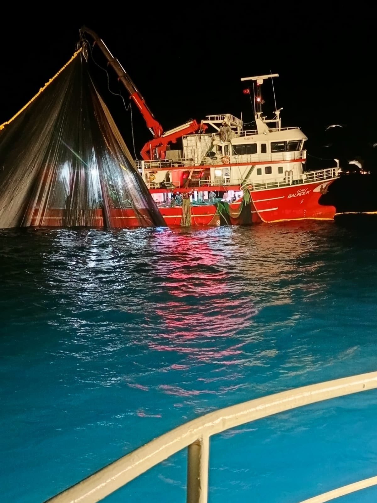 I M G 20260331 W A0009