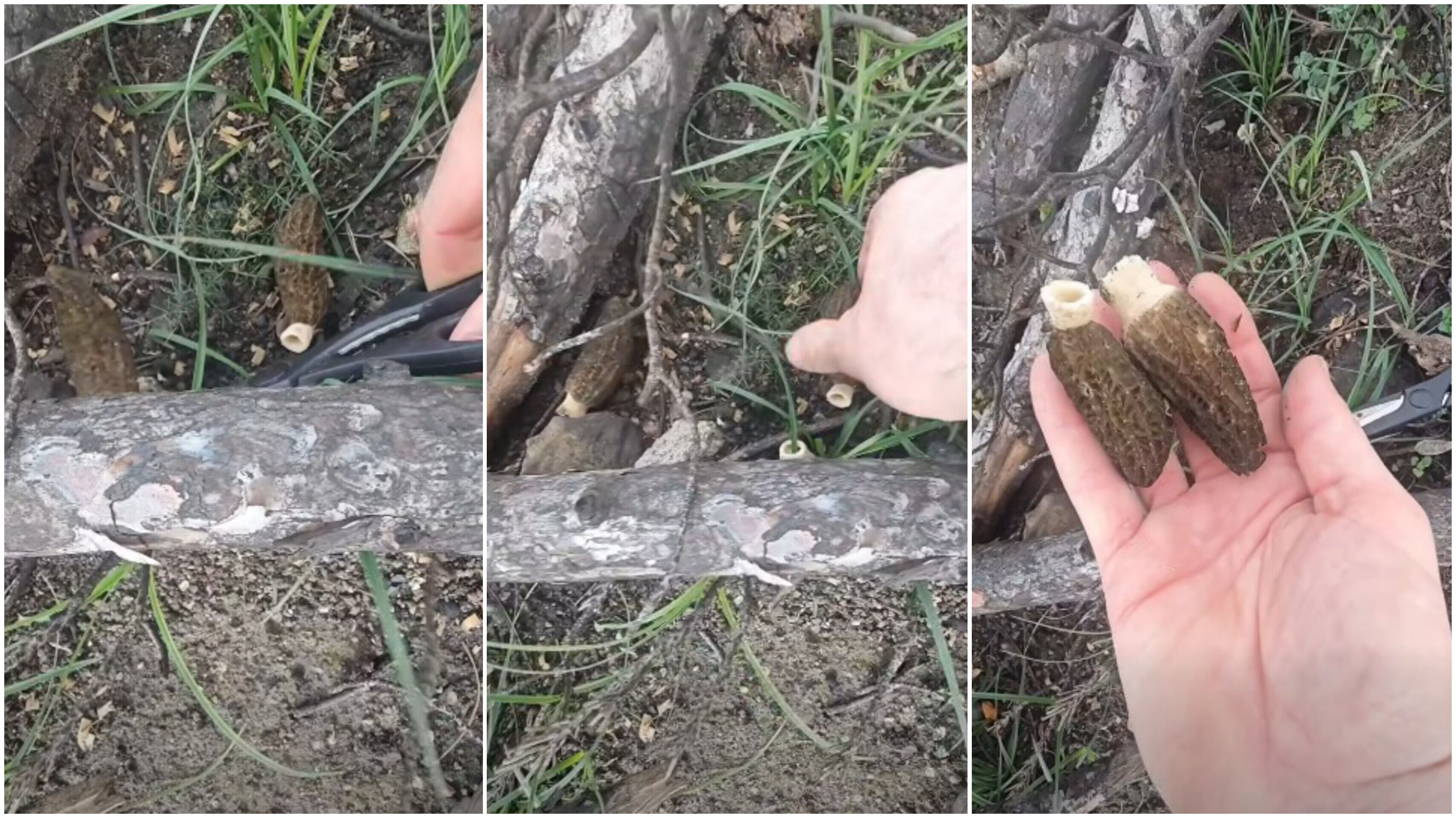 In Shot 20260303 154533934