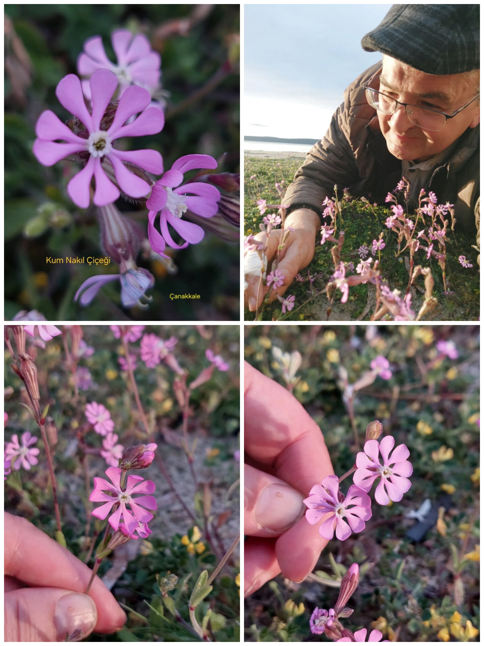 In Shot 20260330 111554590