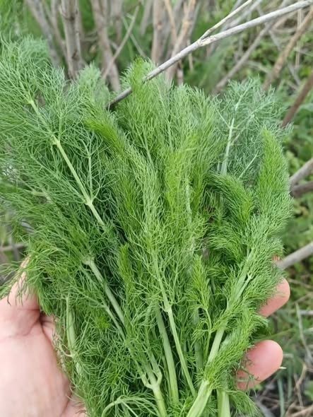 0B8D0110 7509 4D5A 8C74 2F43Aafa52Bb