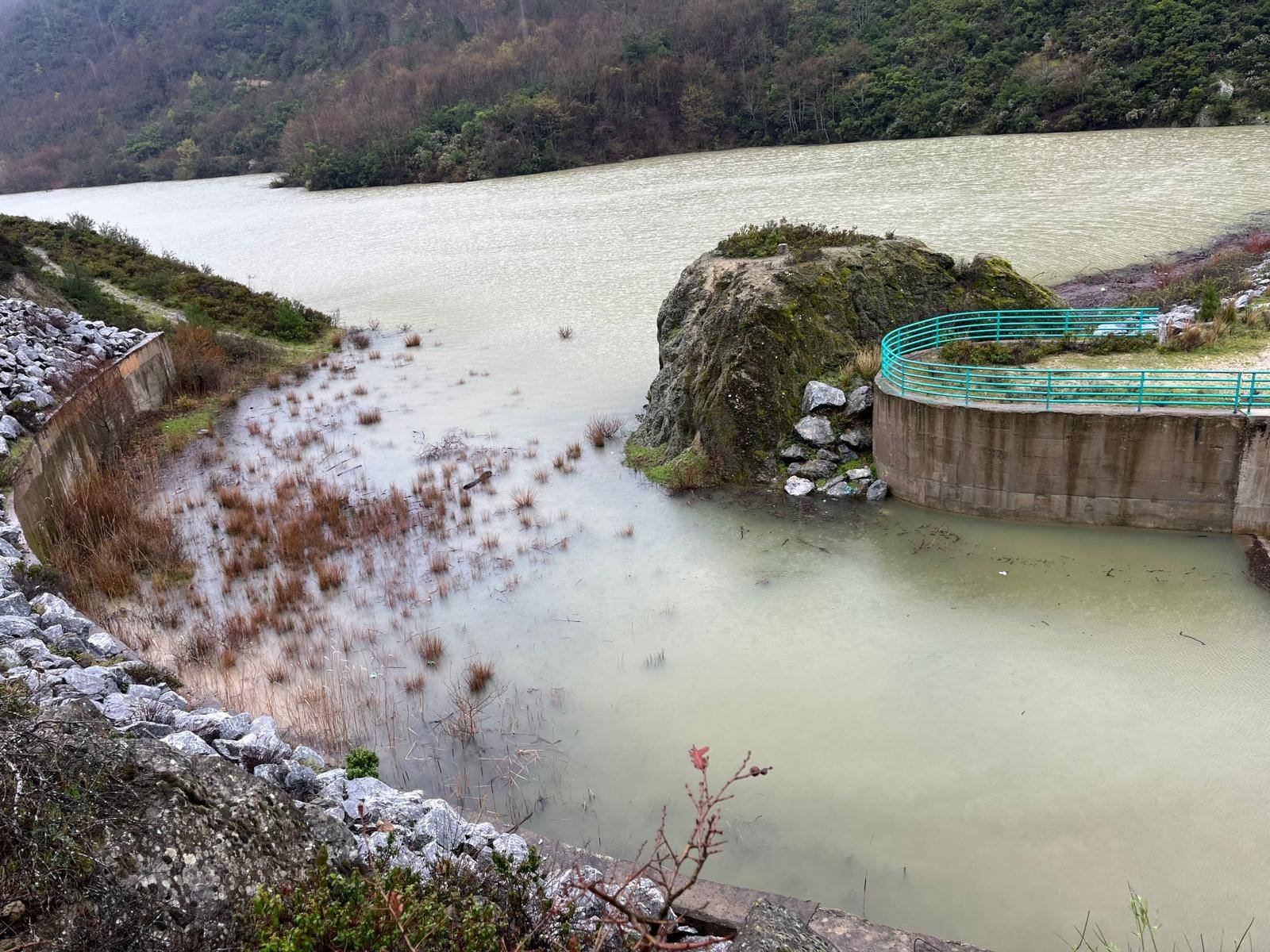 660495484 27015907391345676 130134307374776807 N