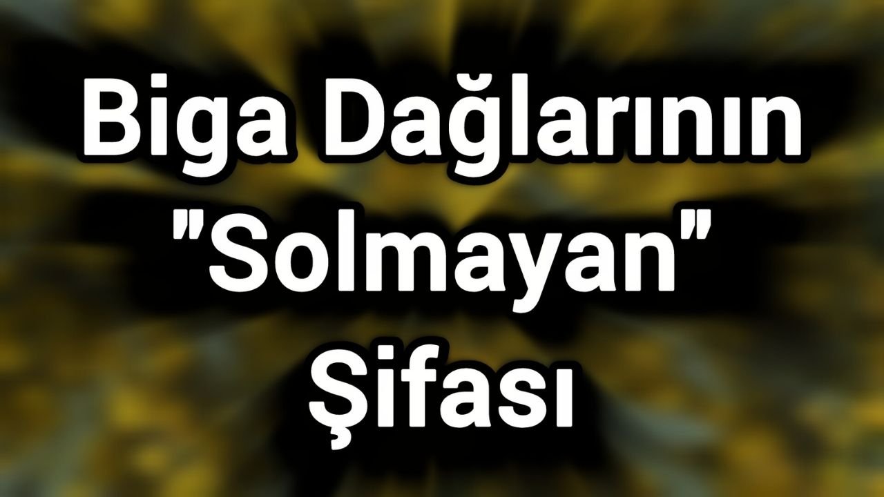 Biga Dağlarının "Solmayan" Şifası