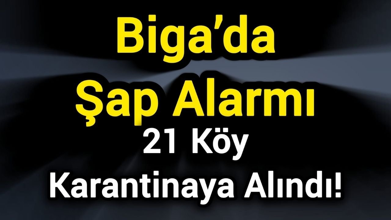 Biga’da Şap Alarmı: 21 Köy Karantinaya Alındı!