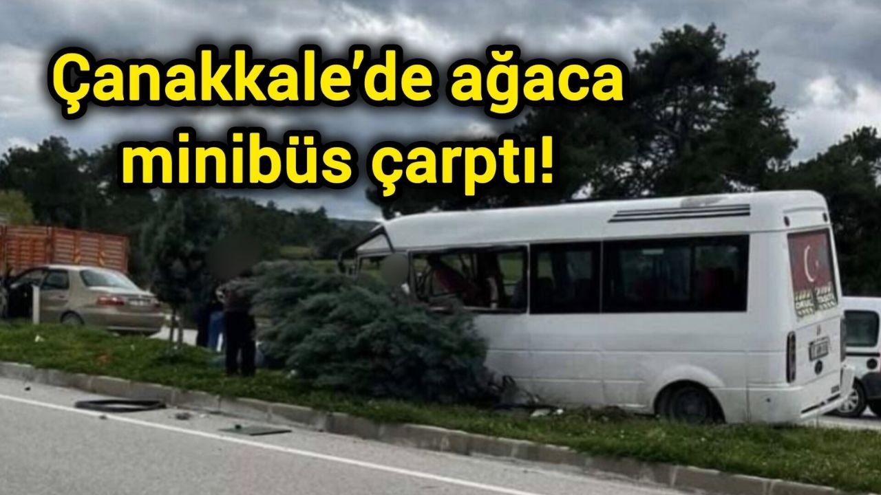 Çanakkale’de ağaca minibüs çarptı!