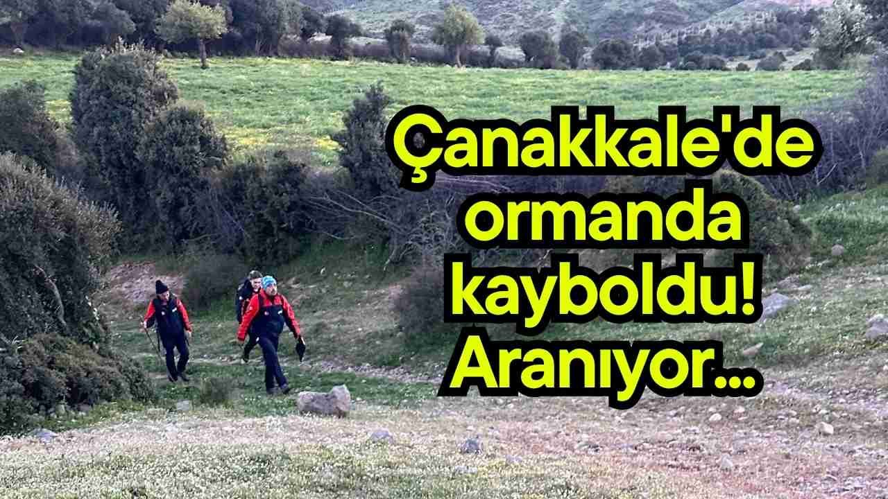 Çanakkale'de ormanda kayboldu! Aranıyor...