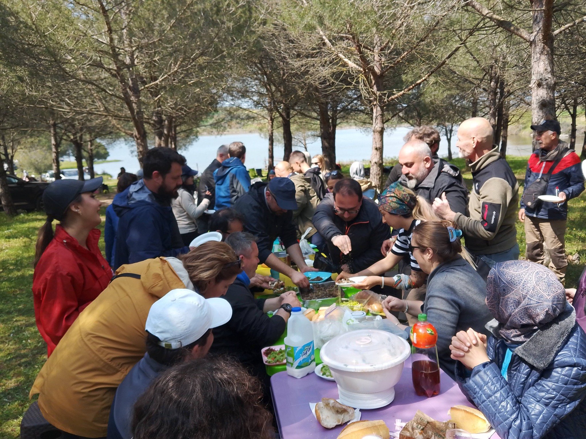 676104630 10242661794417859 8780382757198190864 N