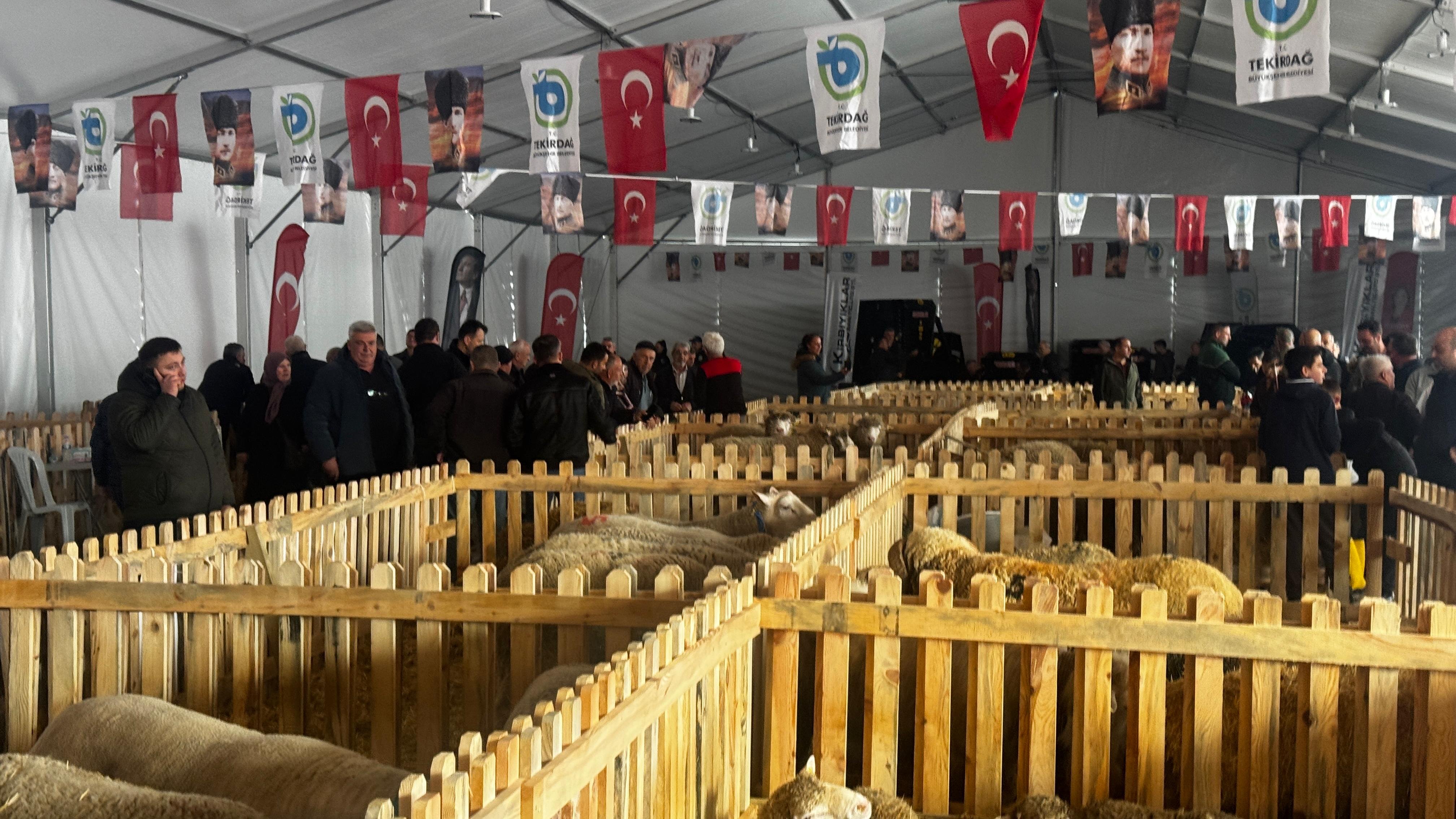 Küçükbaş hayvanlarda stres verimi düşürüyor