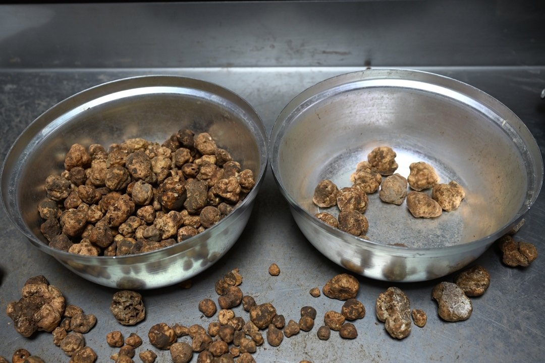 A A 20260417 41131260 41131256 T U R K I Y E D E N T O P L A D I G I T R U F M A N T A R L A R I N I A V R U P A Y A G O N D E R I Y O R