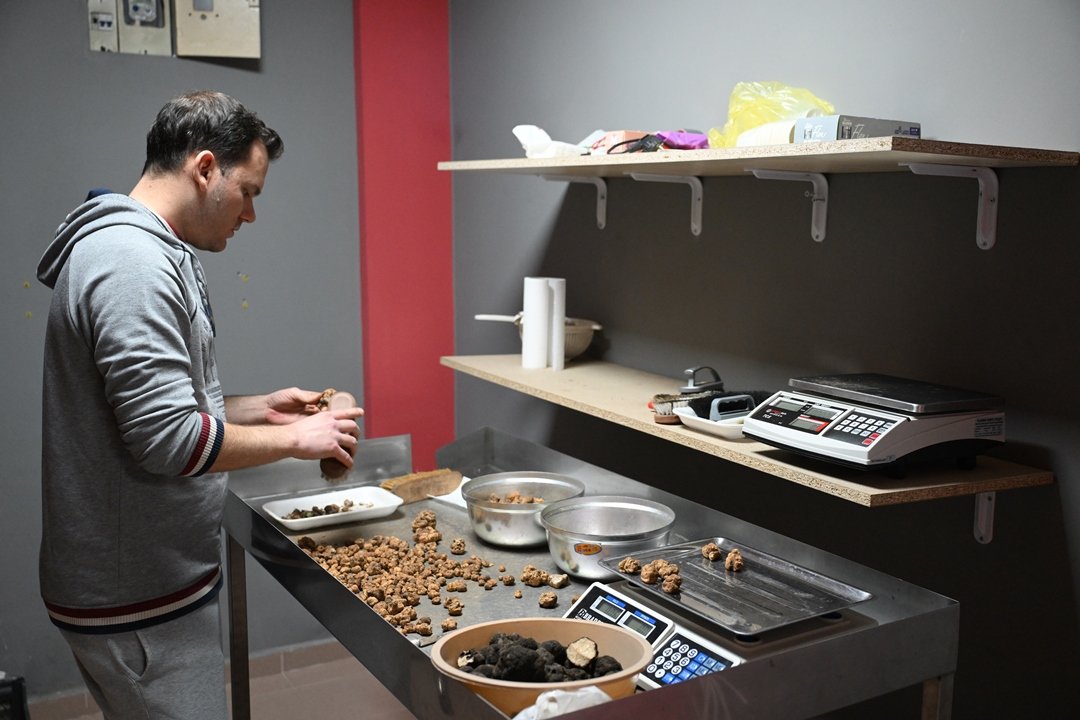 A A 20260417 41131260 41131259 T U R K I Y E D E N T O P L A D I G I T R U F M A N T A R L A R I N I A V R U P A Y A G O N D E R I Y O R