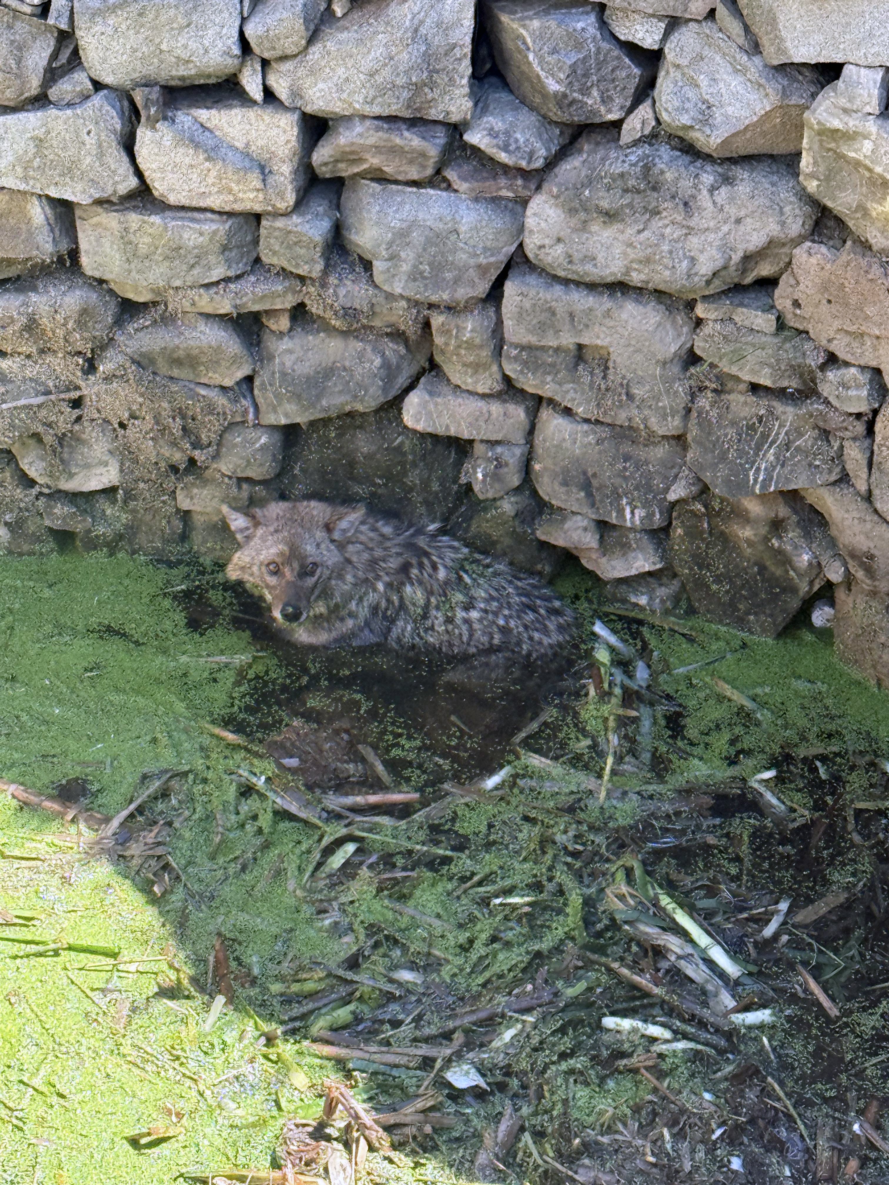 A A 20260425 41211806 41211805 B A L I K E S I R D E K U Y U Y A D U S E N T I L K I Y I I T F A I Y E K U R T A R D I