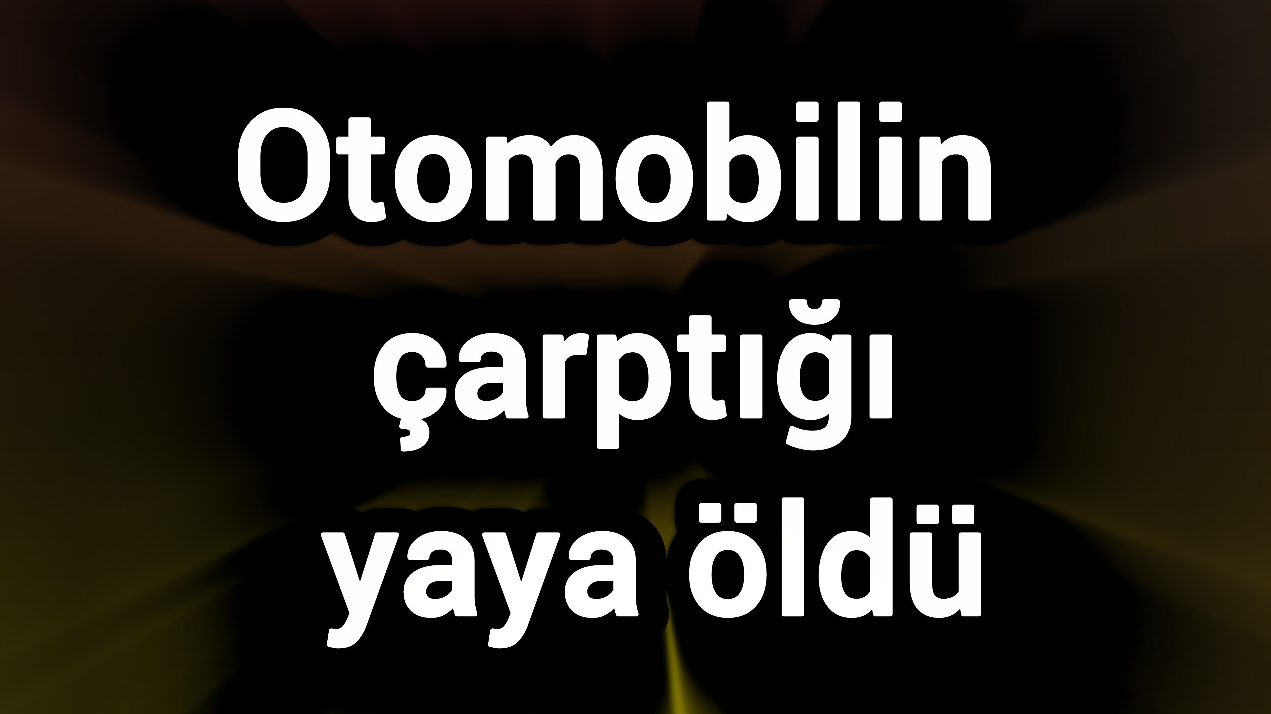 Otomobilin çarptığı yaya öldü