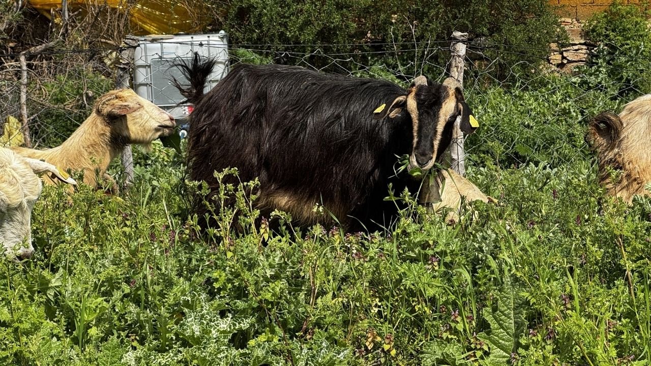 Bir Başlık Ekleyin (1)-122