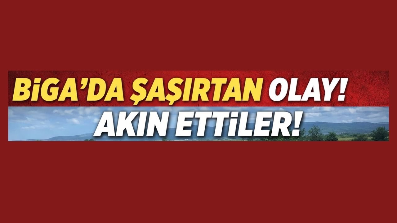 Biga’da şaşırtan olay! Akın ettiler
