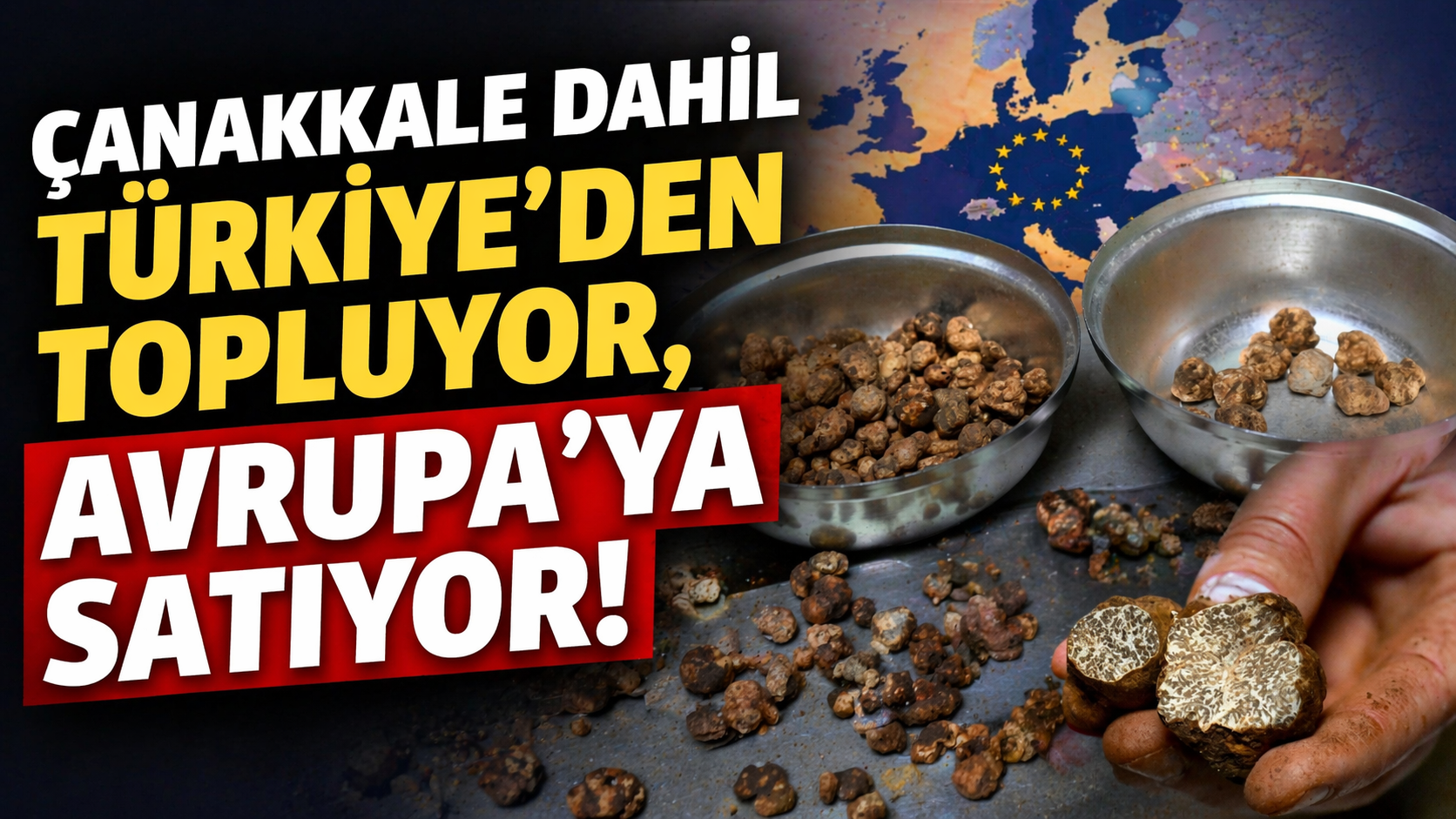 Çanakkale dahil Türkiye’den topluyor, Avrupa’ya satıyor!