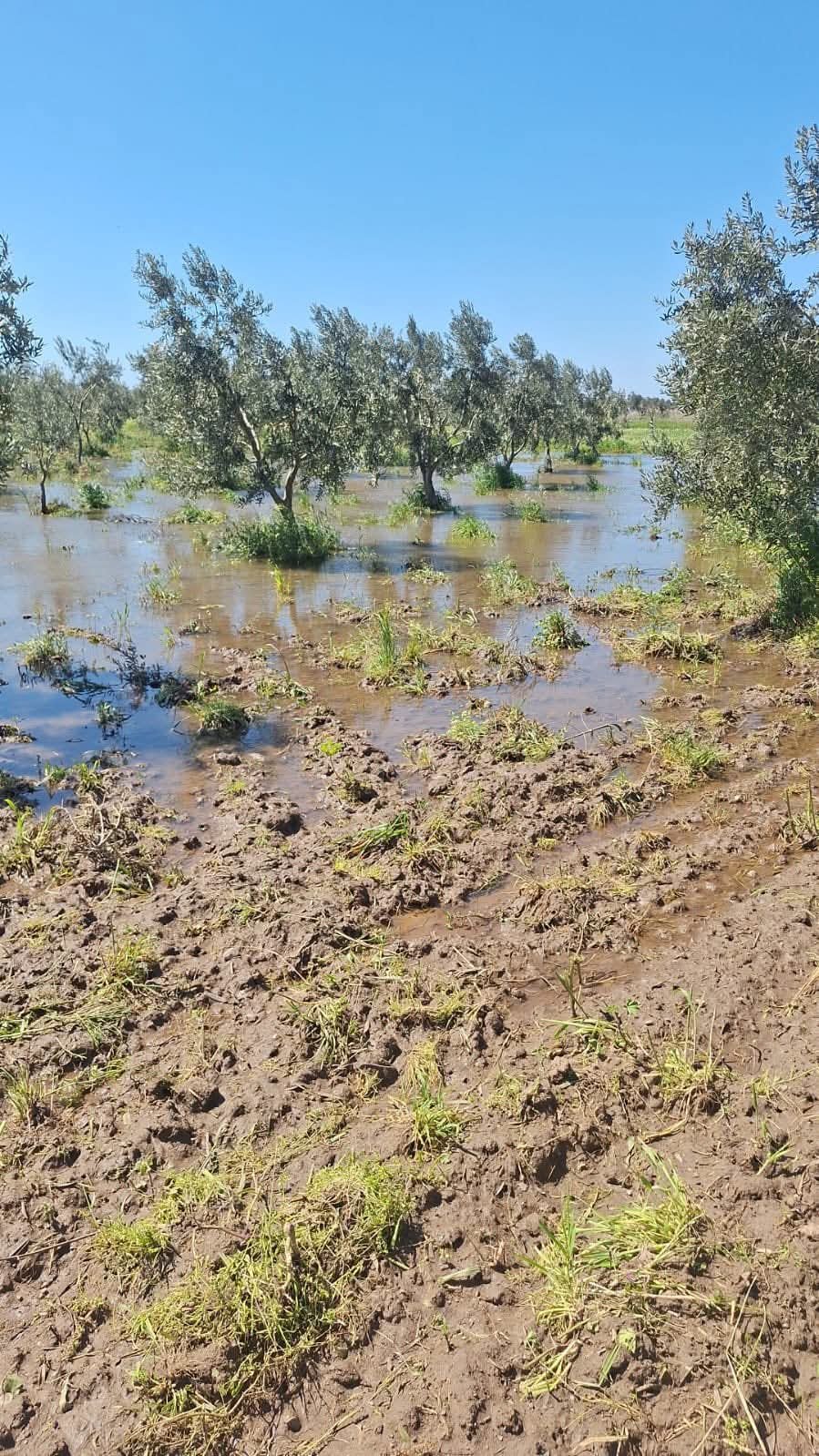 F B I M G 1775671593789